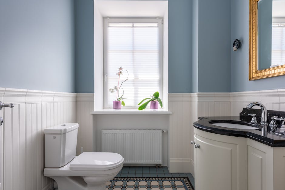 Toilet Repair & Installation in Zephyrhills, FL - The Zephyrhills Plumber